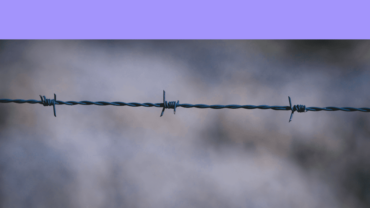Close-up of a barbed wire fence against a blurred background with a purple border at the bottom.